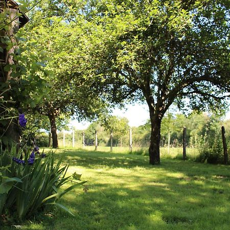 Maison De Campagne Avec Grand Jardin, Cheminee, Velos Et Wifi A Berfay - Fr-1-410-242 Exterior foto